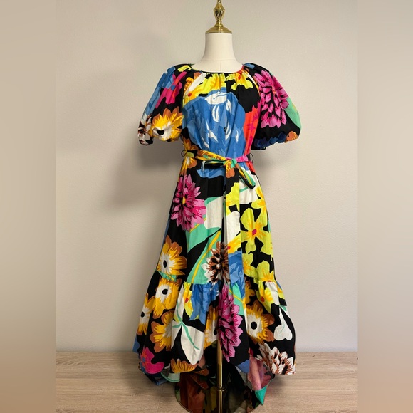 Blue and Pink Puff Sleeve Maxi Sundress - Picture 2 of 12